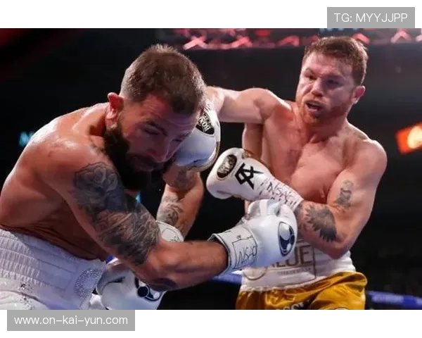 拳击裁判长解读新规则 电子计分系统增强比赛透明度