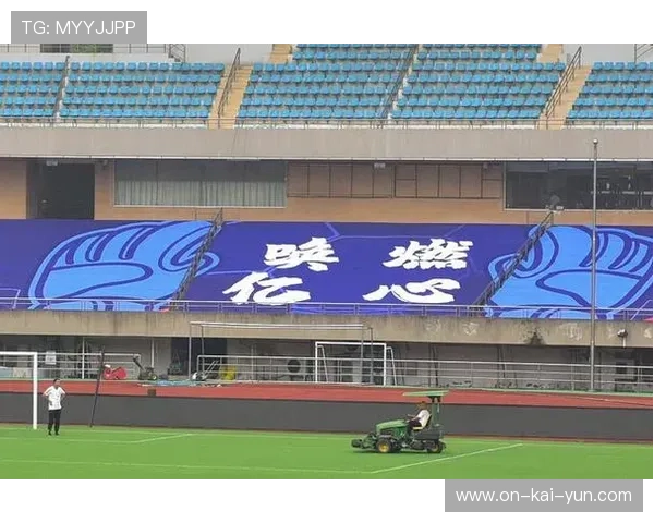 球迷行为研究项目进展更新，赛场氛围分析报告